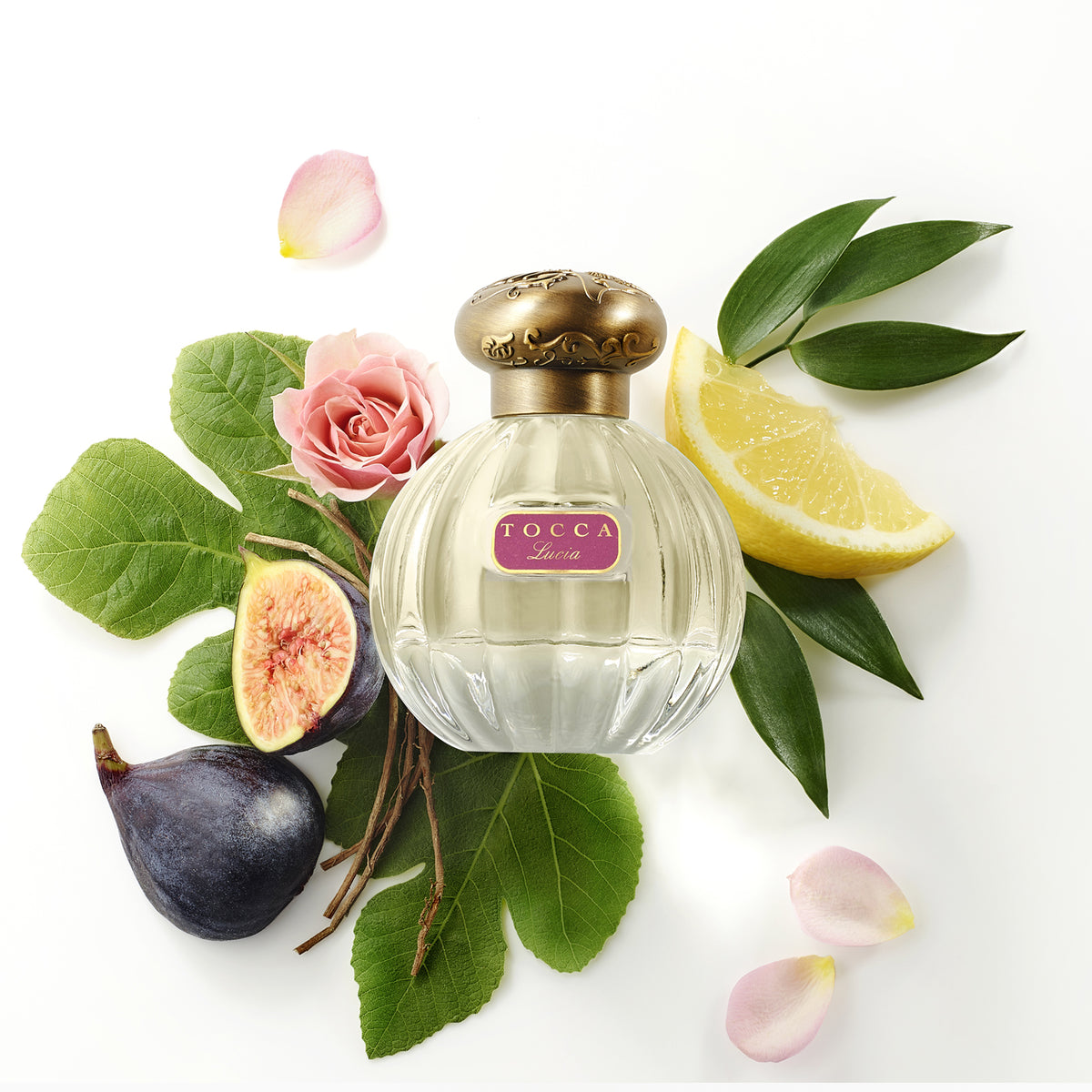 Lucia Eau de Parfum bottle with figs