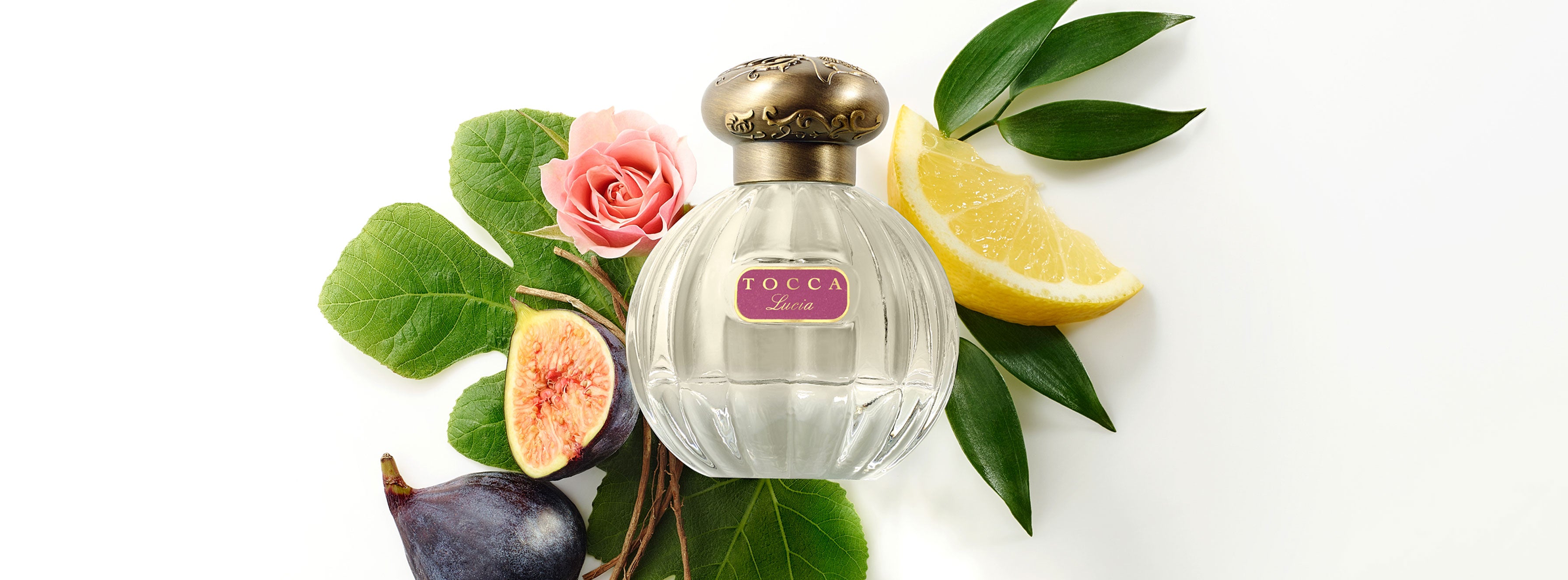 Collections – TOCCA Collections – TOCCA