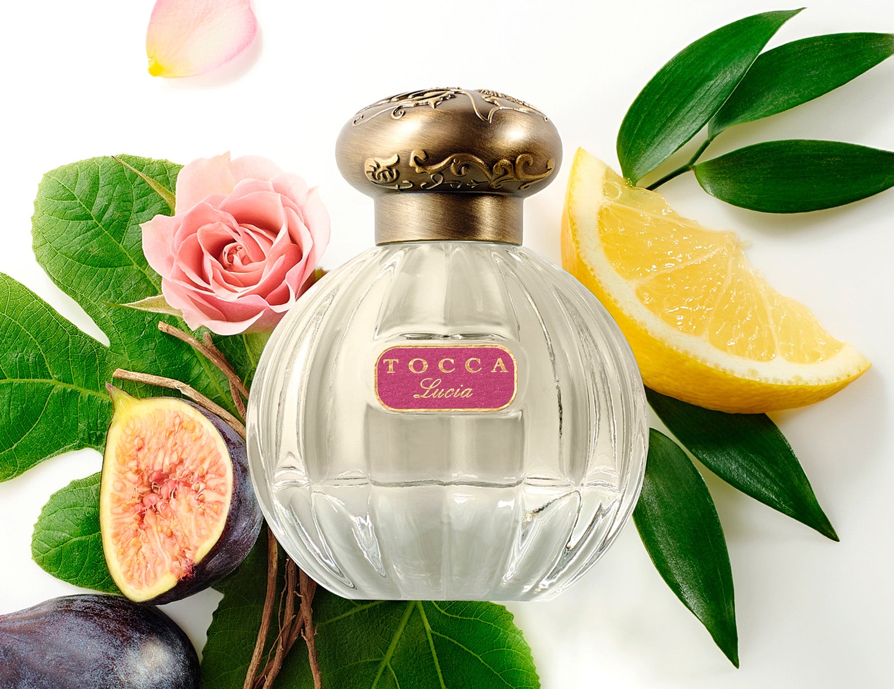 Mini Fragrance Discovery Set | TOCCA