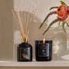 TOCCA Bundle Montauk Deluxe Bundle