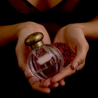 Tocca Fine Fragrances Eau de Parfum Colette 50ml