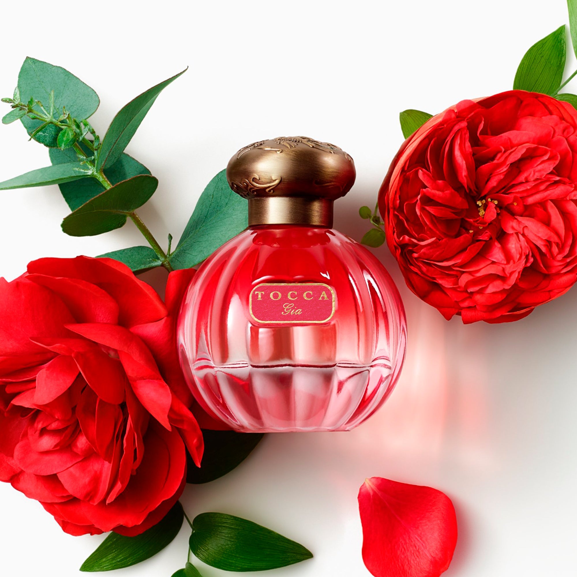 TOCCA Fine Fragrances Eau de Parfum Gia 50ml