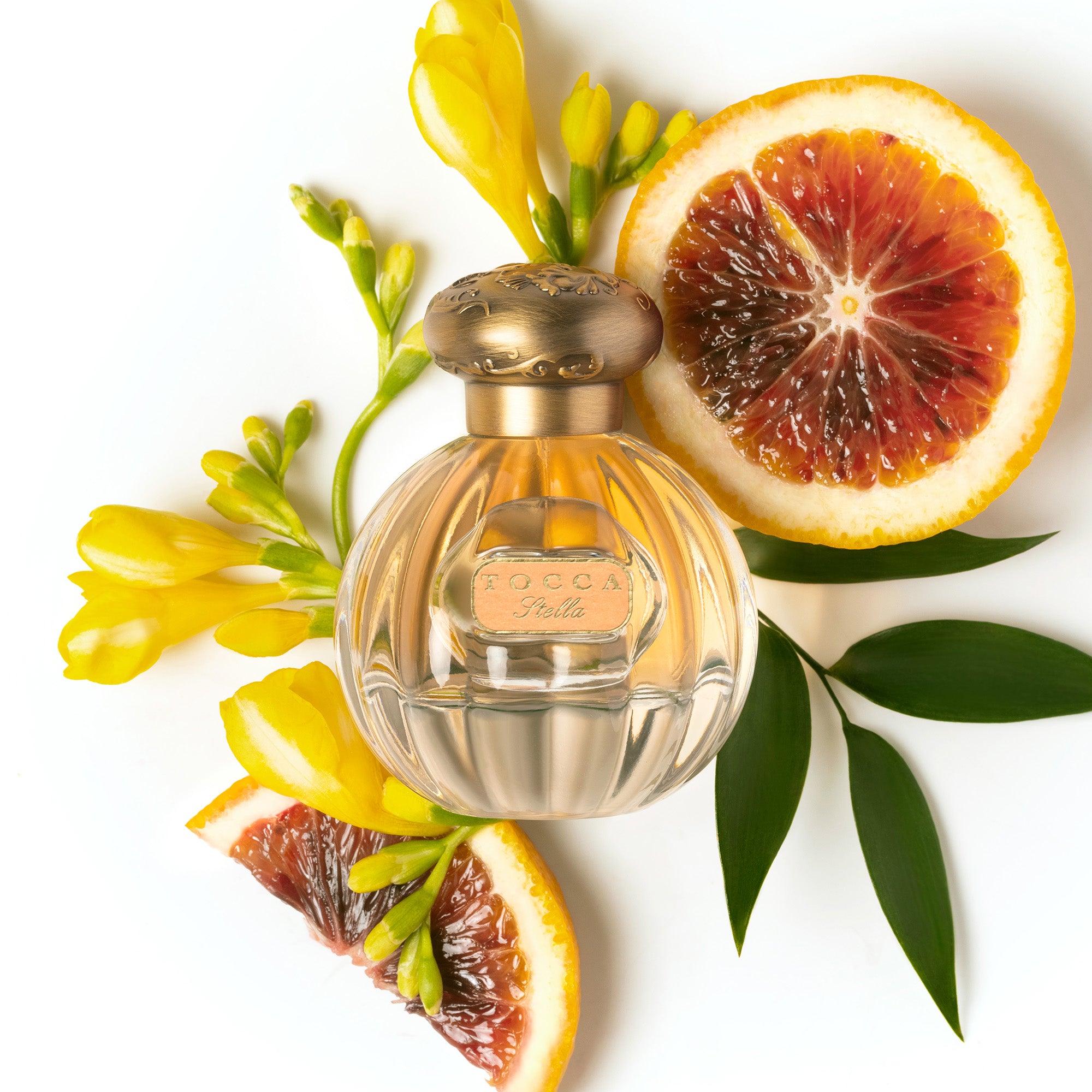 Eau de Parfum, Stella | Tocca Beauty and Home Fragrances – TOCCA