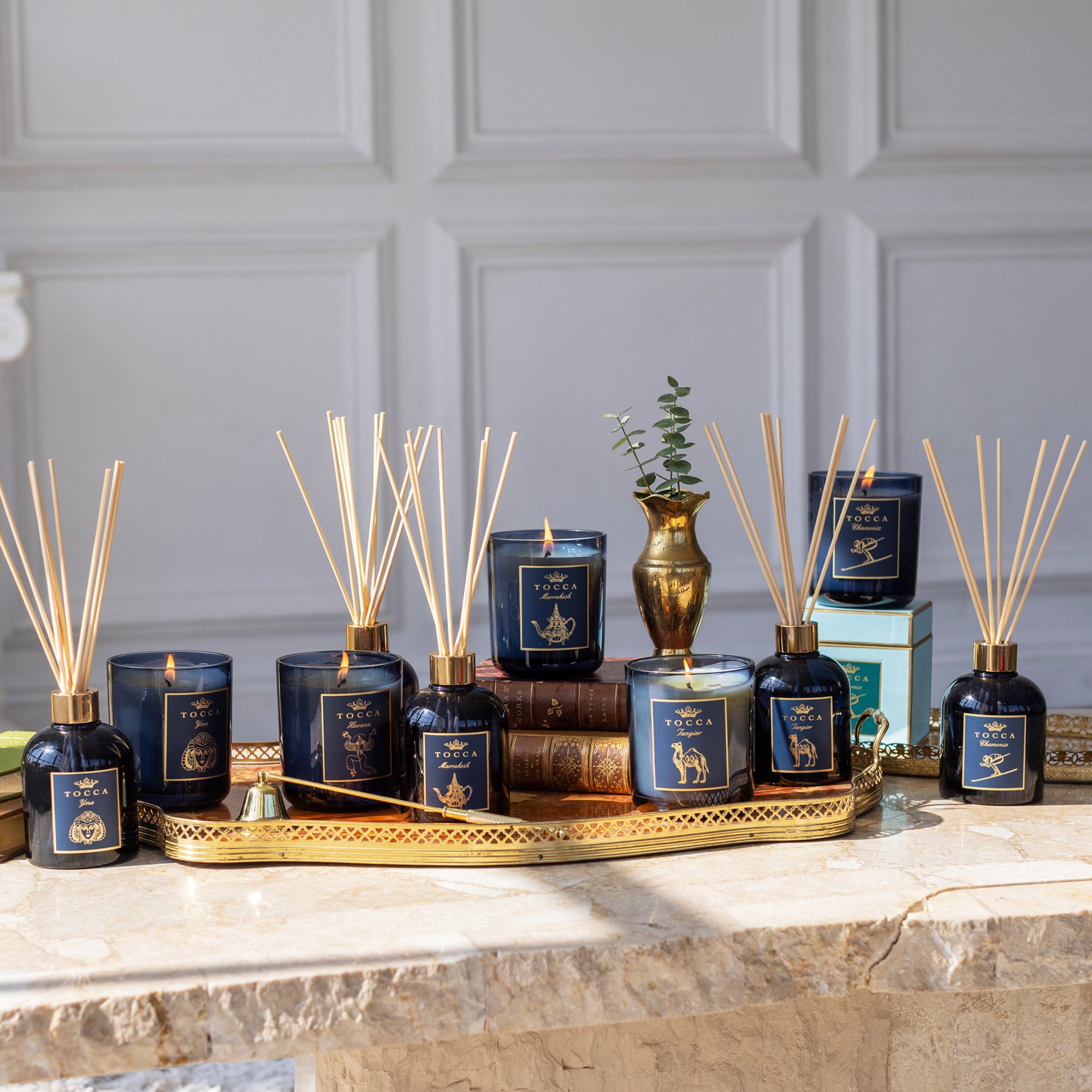 Diffuser Yma - Guava. Red Currant. | TOCCA Beauty and Home Fragrances